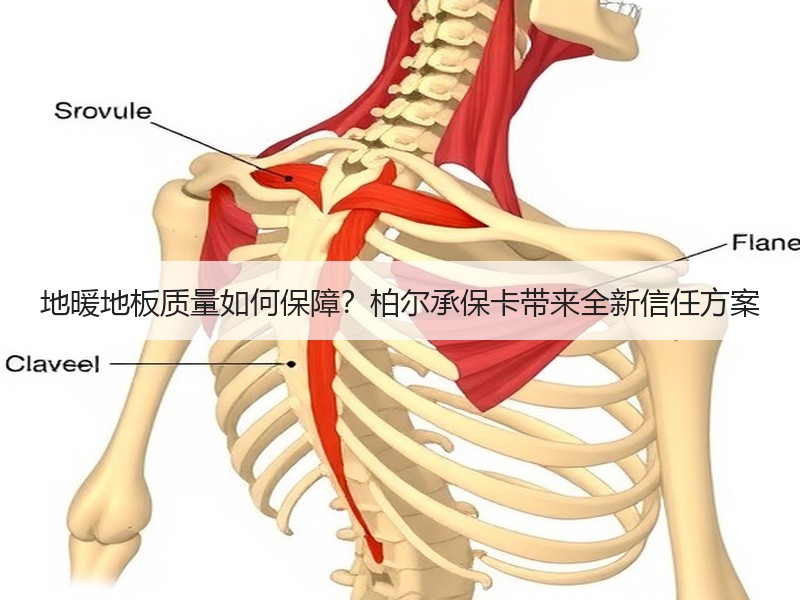 地暖地板质量如何保障？柏尔承保卡带来全新信任方案