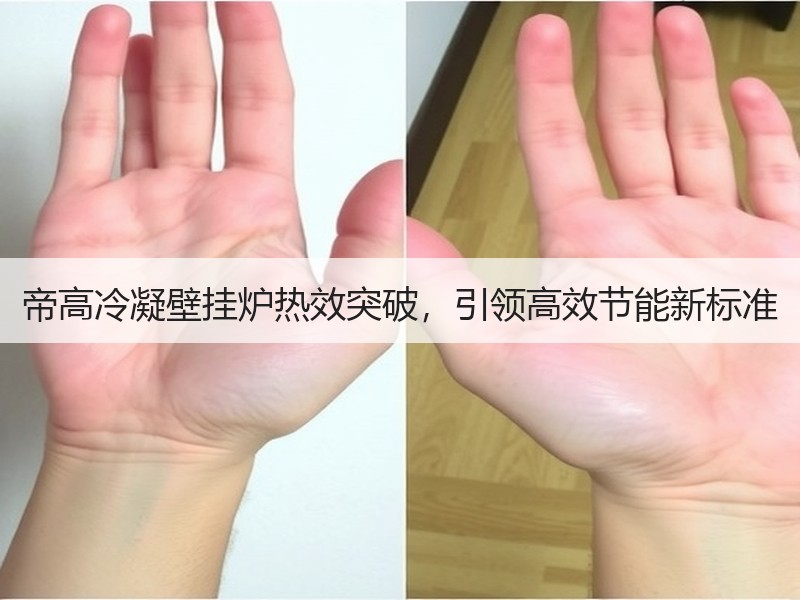 帝高冷凝壁挂炉热效突破，引领高效节能新标准