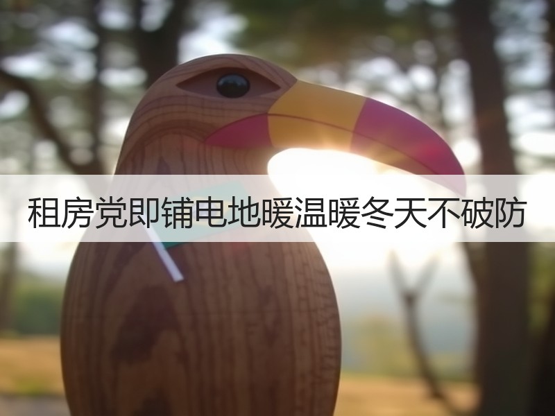 租房党即铺电地暖温暖冬天不破防