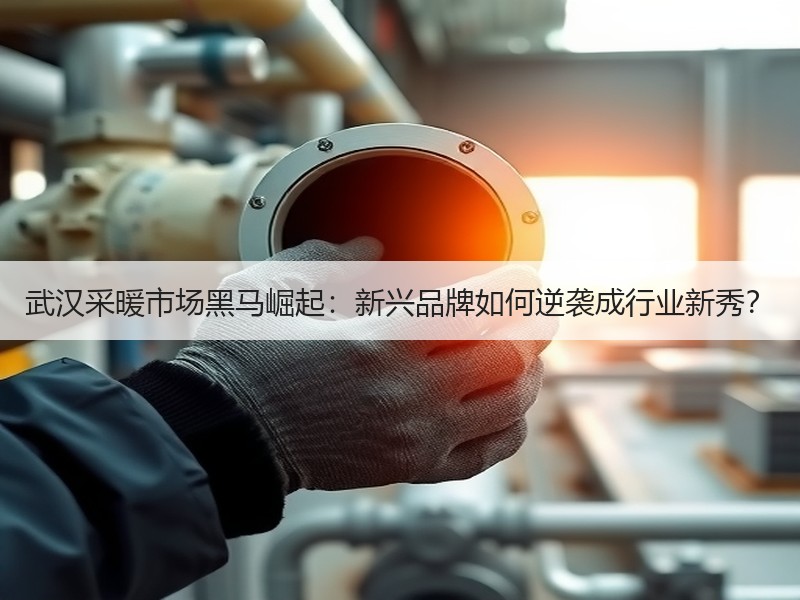 武汉采暖市场黑马崛起：新兴品牌如何逆袭成行业新秀？