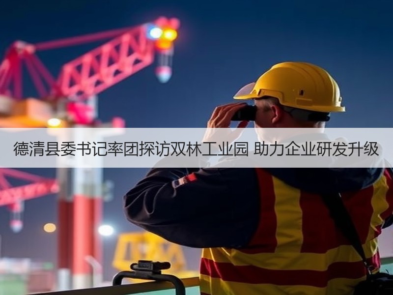 德清县委书记率团探访双林工业园 助力企业研发升级