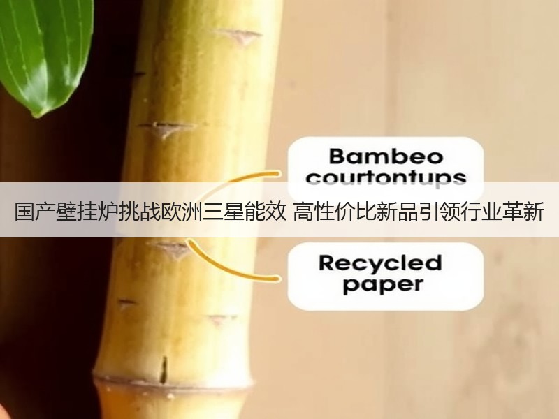 国产壁挂炉挑战欧洲三星能效 高性价比新品引领行业革新