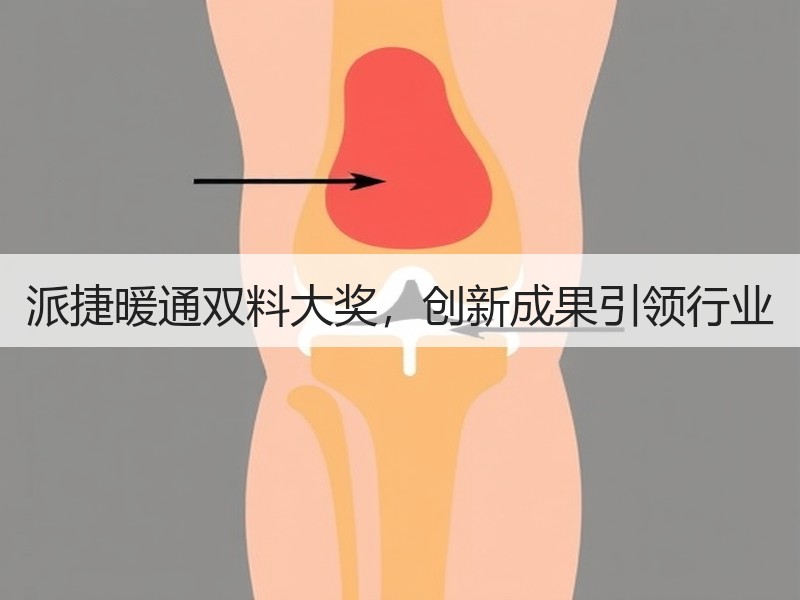 派捷暖通双料大奖，创新成果引领行业