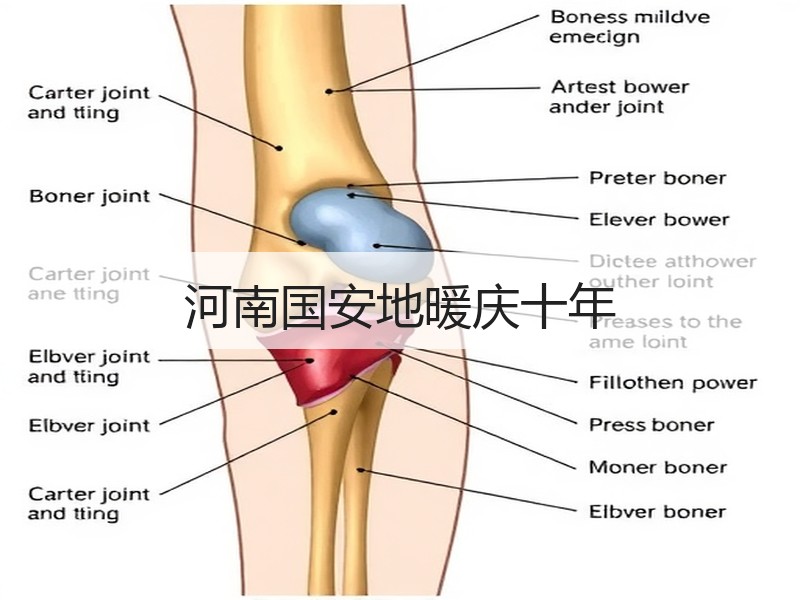 河南国安地暖庆十年