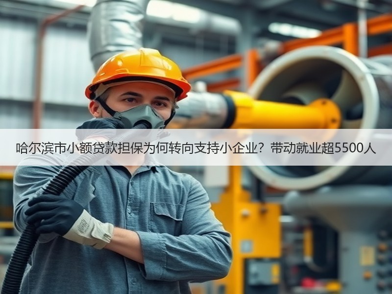 哈尔滨市小额贷款担保为何转向支持小企业？带动就业超5500人