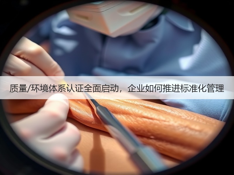 质量/环境体系认证全面启动，企业如何推进标准化管理