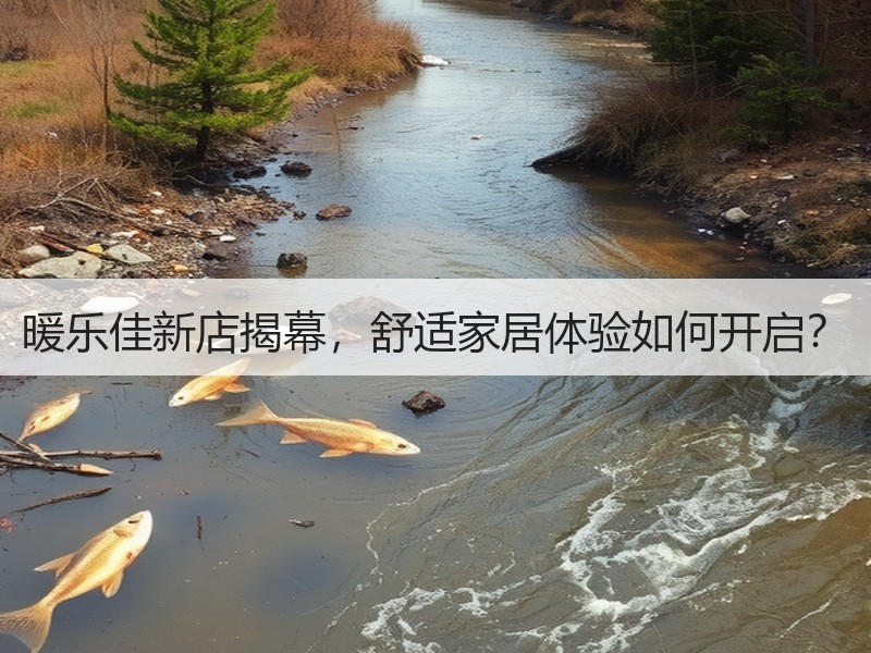 暖乐佳新店揭幕，舒适家居体验如何开启？