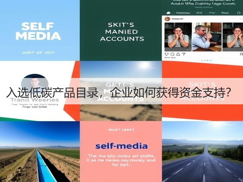 入选低碳产品目录，企业如何获得资金支持？